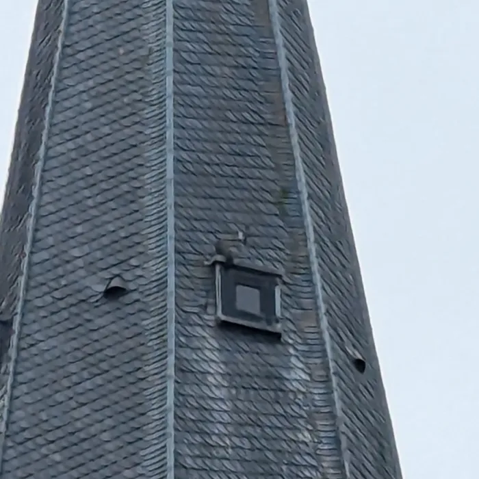 Gespotte Slechtvalk