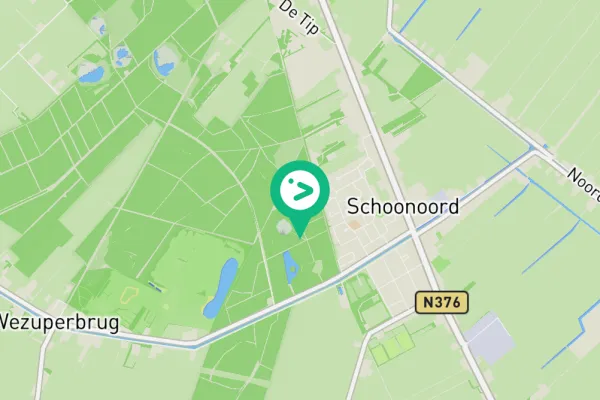 Gespotte Koolmees