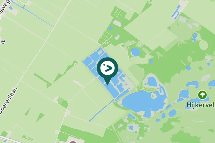 Gespotte Aalscholver