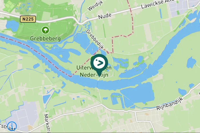 Gespotte Bruine kiekendief