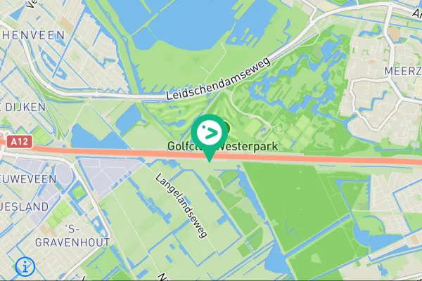 Gespotte Lepelaar