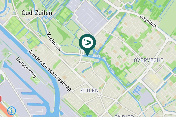 Gespotte Zwarte kraai