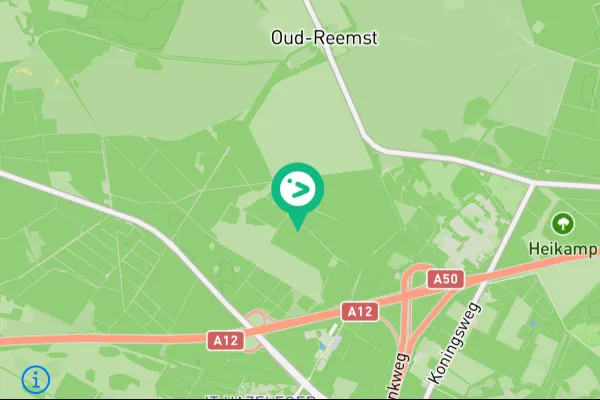 Gespotte Glanskop