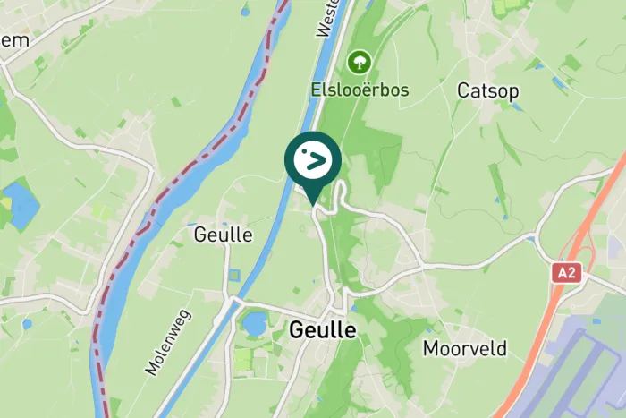 Gespotte Zanglijster