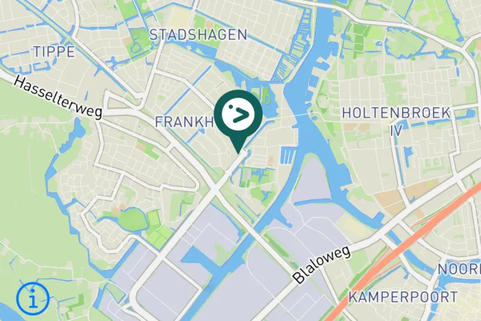 Gespotte Grote Canadese gans