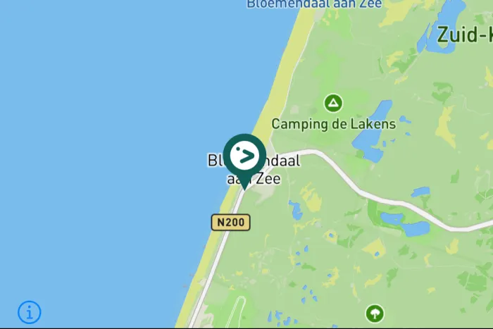 Gespotte Grote mantelmeeuw
