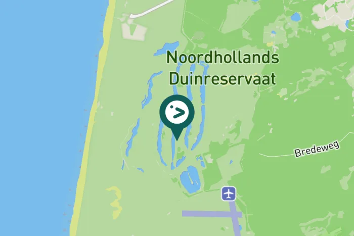 Gespotte Wilde zwaan