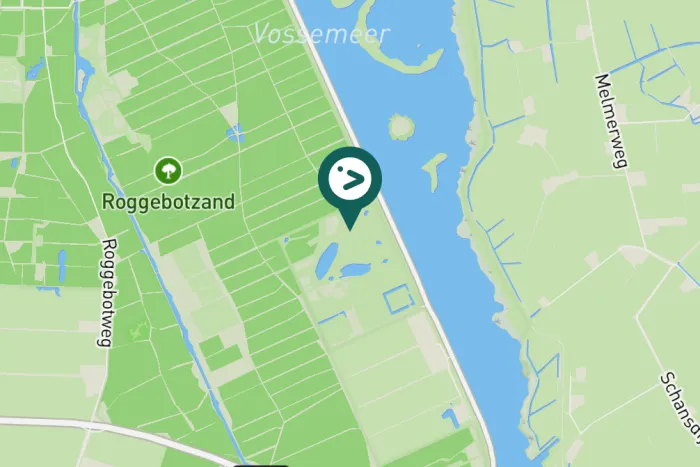 Gespotte Grote bonte specht