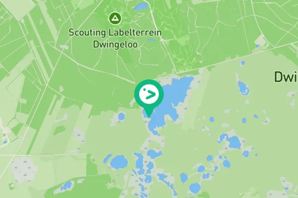 Gespotte Grauwe gans