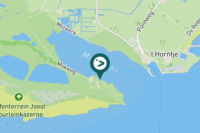 Gespotte Grote zilverreiger