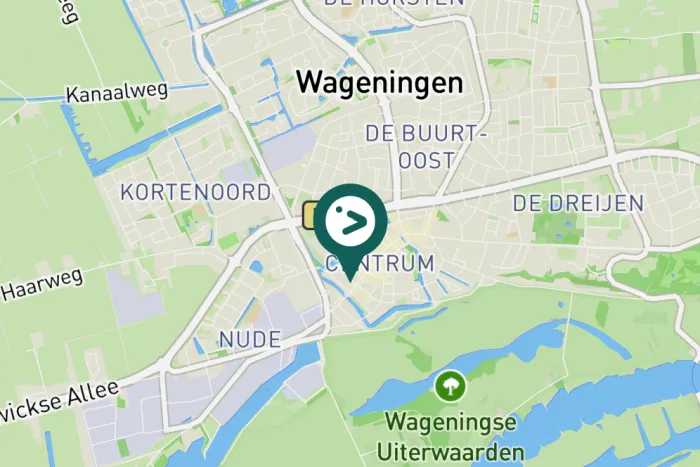 Gespotte Meerkoet