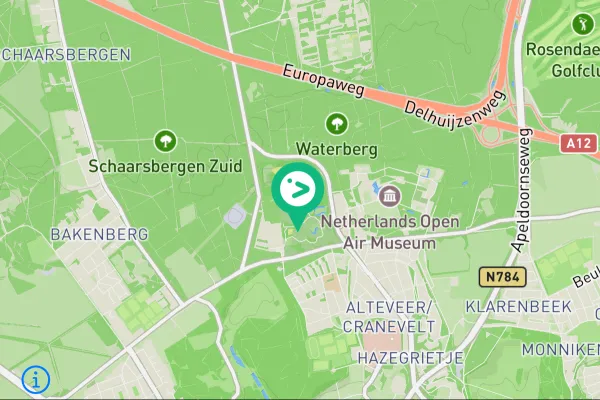 Gespotte Huiszwaluw