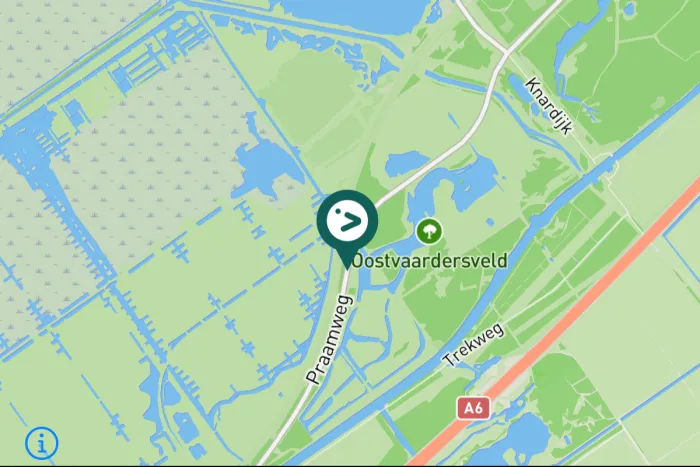 Gespotte Zeearend