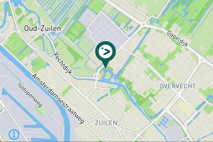 Spotted Eurasian Siskin