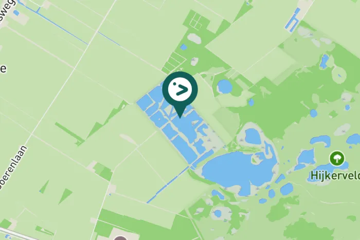 Gespotte Meerkoet