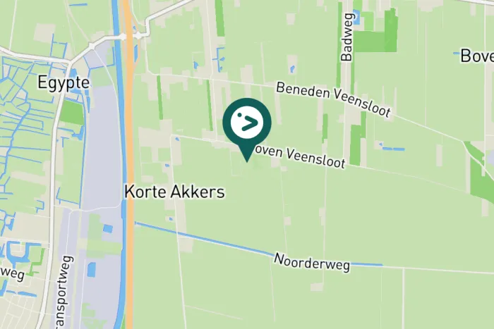 Gespotte Grote Canadese gans