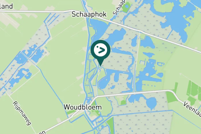 Gespotte Blauwe reiger