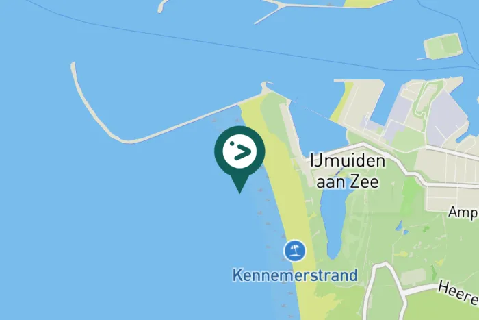 Spotted Common Eider