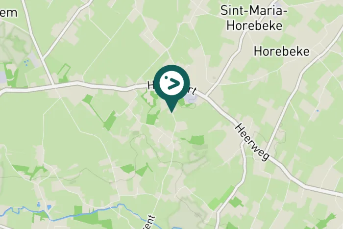 Gespotte Grote gele kwikstaart