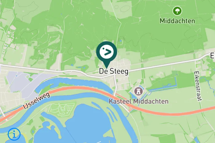 Gespotte Witte kwikstaart