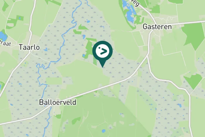 Gespotte Blauwe reiger