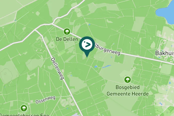 Gespotte Grote bonte specht