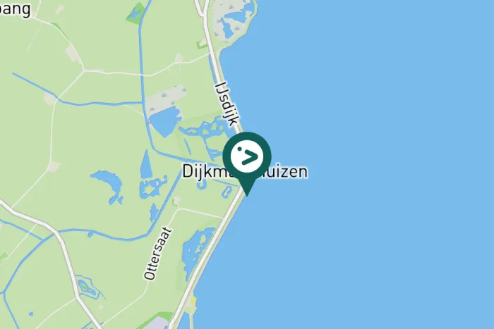 Gespotte Knobbelzwaan