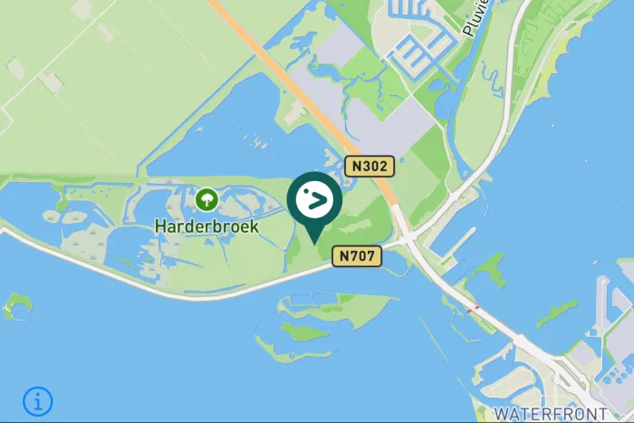 Gespotte Vuurgoudhaan