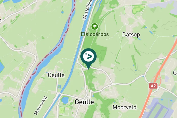 Gespotte Zwarte kraai