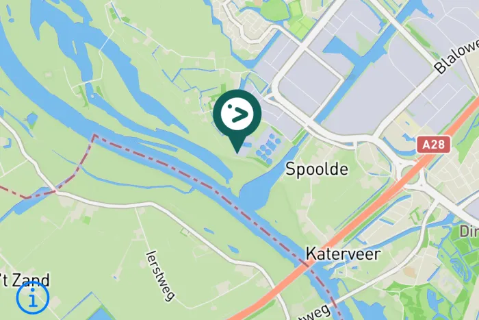 Gespotte Grauwe gans