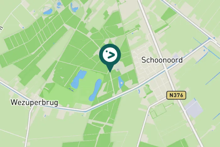 Spotted Eurasian Blue Tit