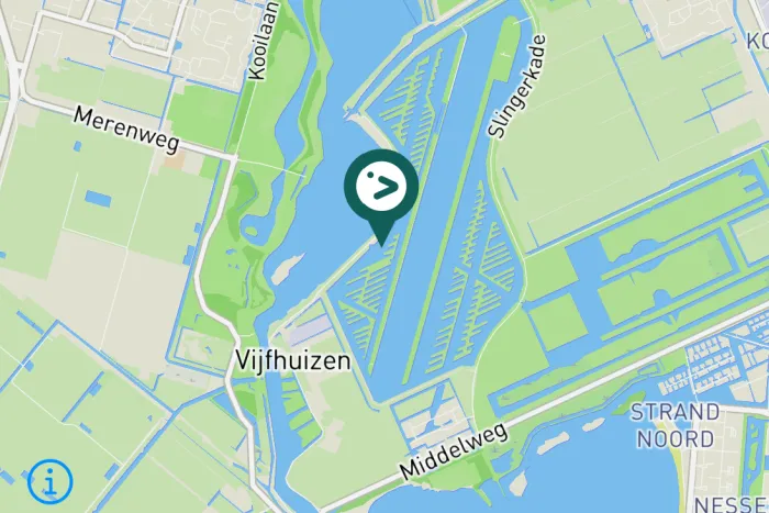 Gespotte Bonte strandloper