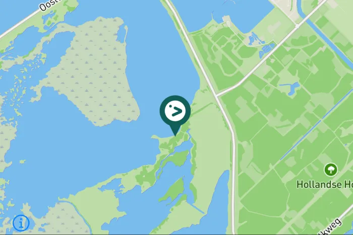 Gespotte Goudplevier