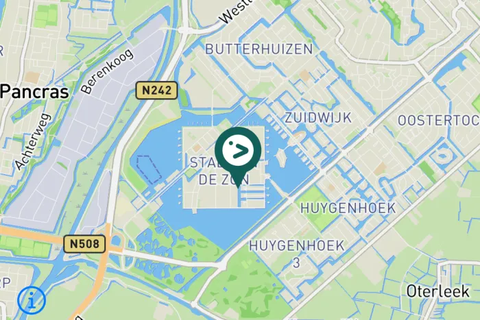 Gespotte Huiszwaluw