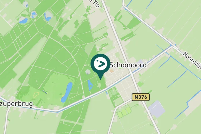 Gespotte Groenling