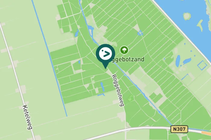 Gespotte Grote bonte specht