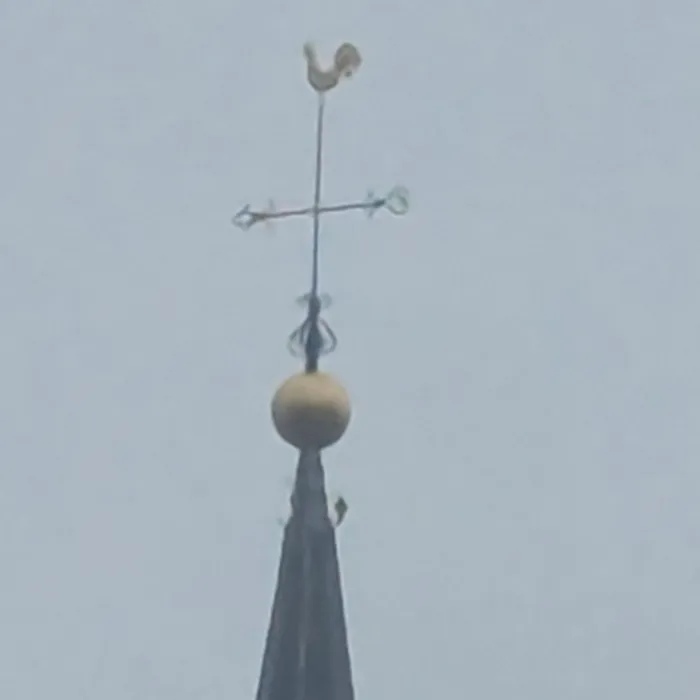 Gespotte Slechtvalk