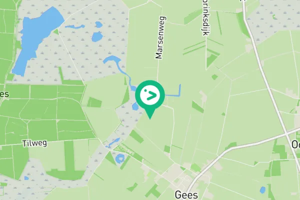 Gespotte Gele kwikstaart