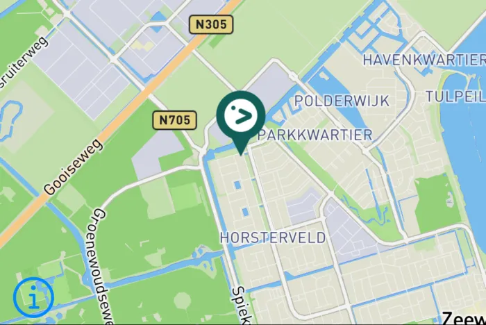 Gespotte Knobbelzwaan