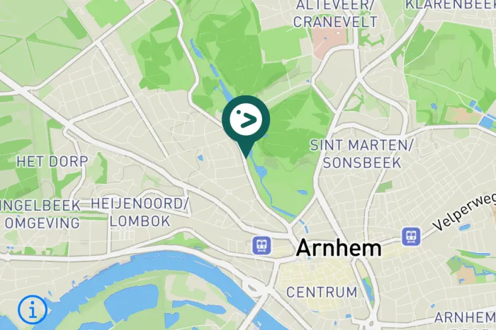 Gespotte Zwarte zwaan