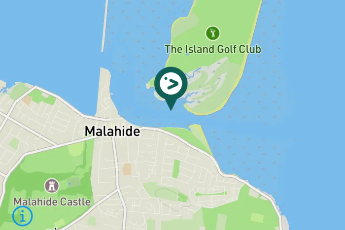 Gespotte Zilverplevier