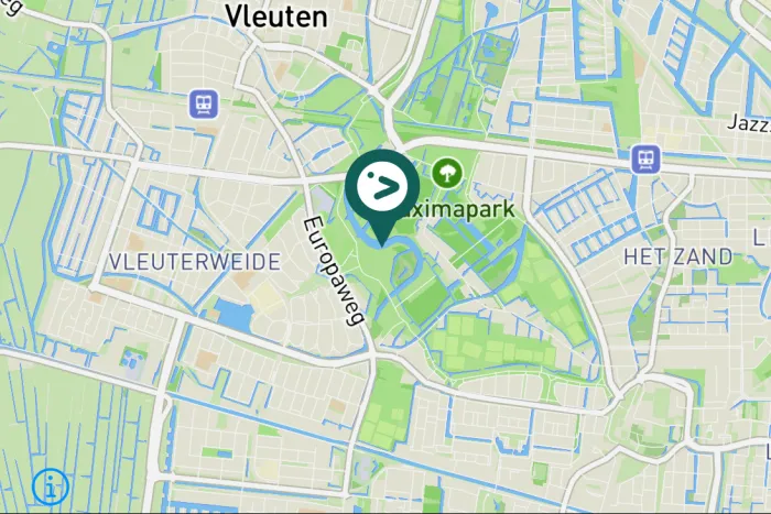 Gespotte Zilvermeeuw