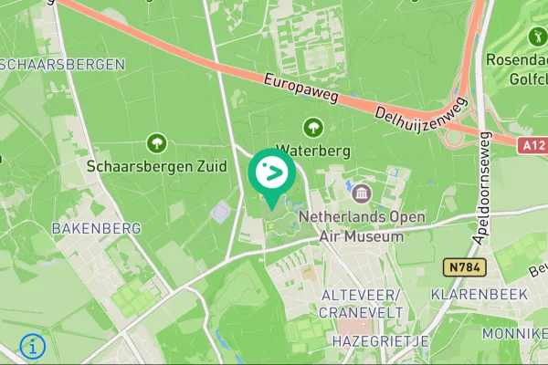 Gespotte Grote gele kwikstaart