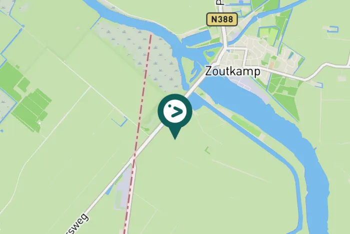 Gespotte Kleine mantelmeeuw