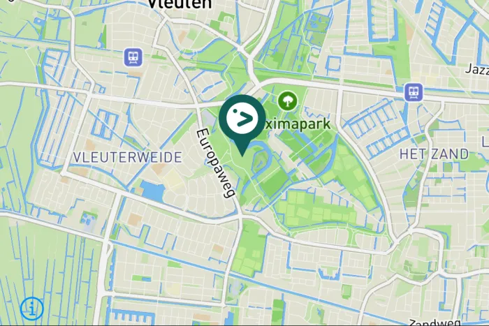 Gespotte Zwarte kraai