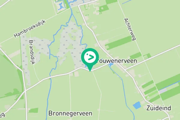 Gespotte Grauwe gans