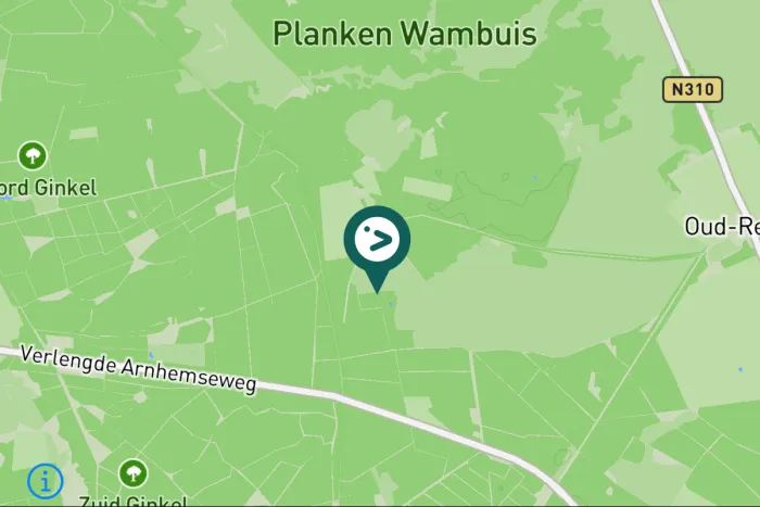 Gespotte Groene specht