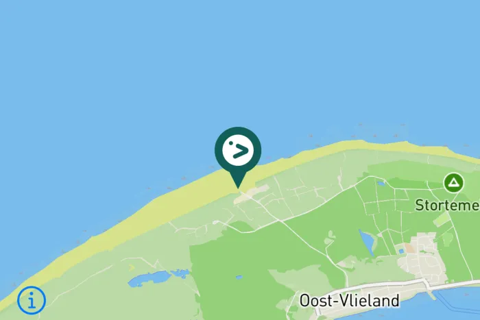 Gespotte Drieteenstrandloper