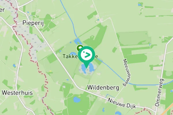 Gespotte Grote zilverreiger