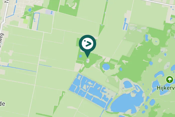 Gespotte Grote bonte specht